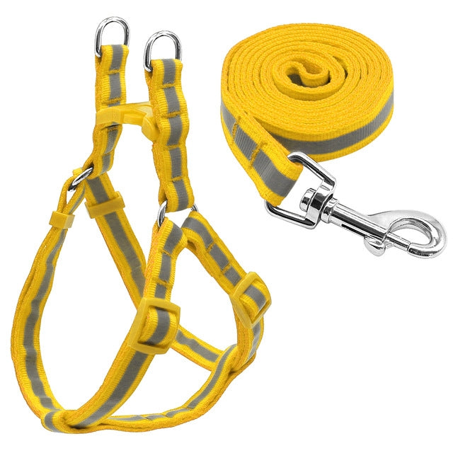 Small Medium Dogs Nylon Reflective Dog Leash Lead Set